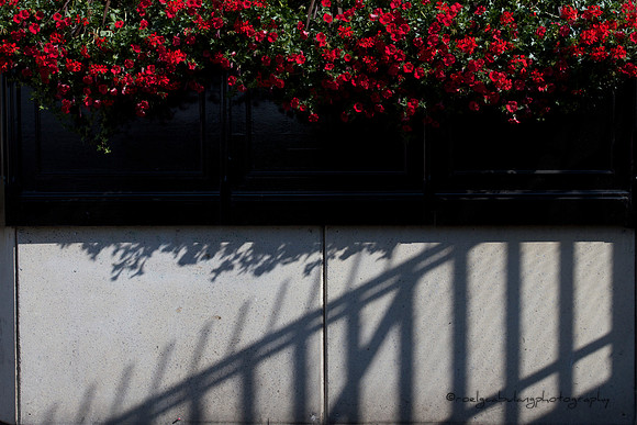 Rouge