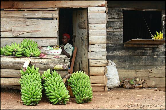 Banana Republic