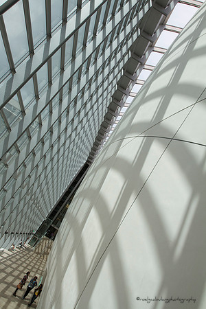 Bathed in Light/Shadow (5)