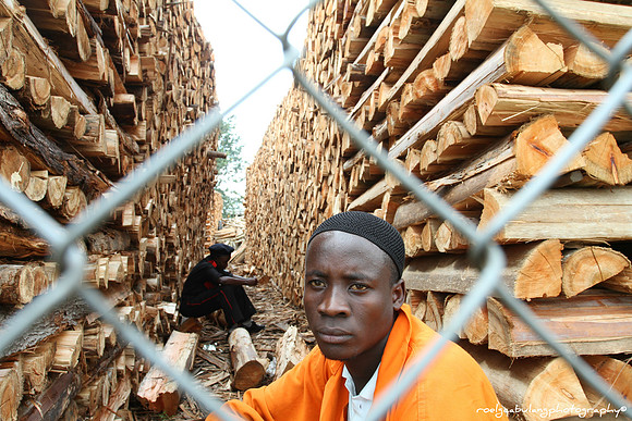Firewood Stacker