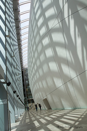 Bathed in Light/Shadow (2)