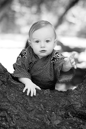 Tyler_FirstBirthday_2017-140