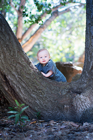 Tyler_FirstBirthday_2017-138