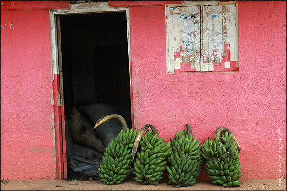Bananas and Pinks