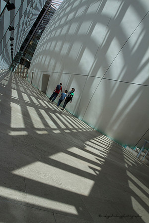Bathed in Light/Shadow