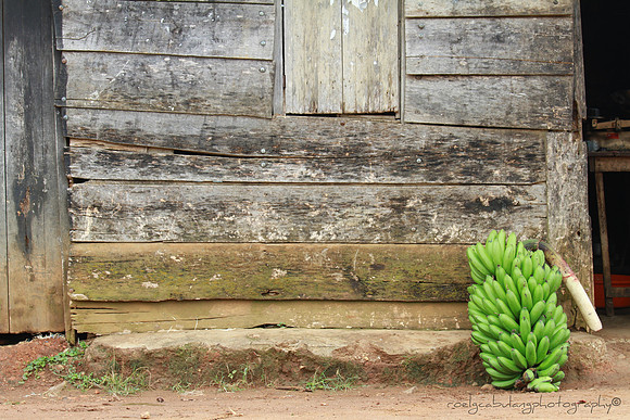 Waiting to Ripen