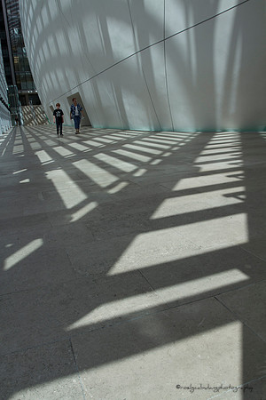 Bathed in Light/Shadow (3)