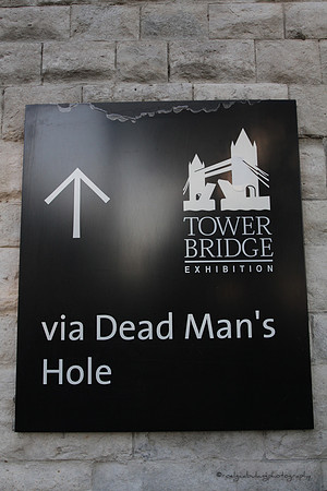 Which Hole