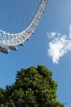 Defiance of Gravity (4)