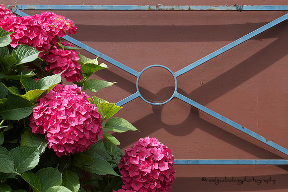 FlowerX