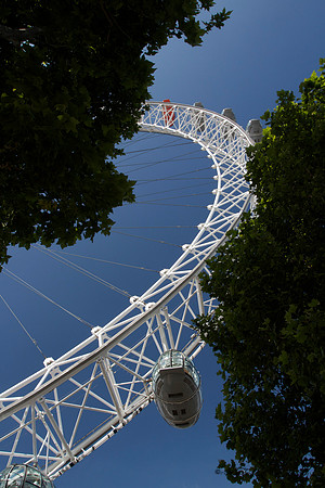 Defiance of Gravity (6)