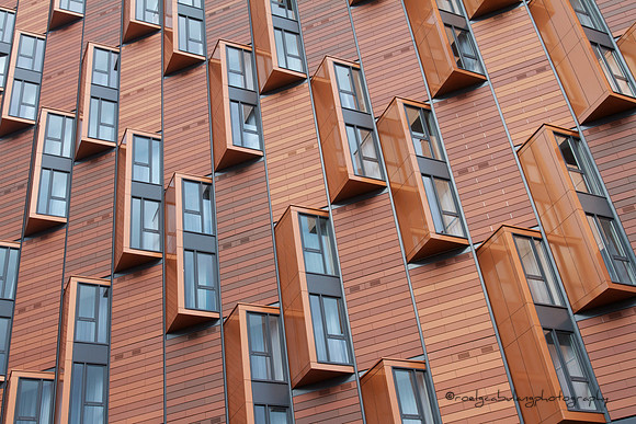 Mass Housing