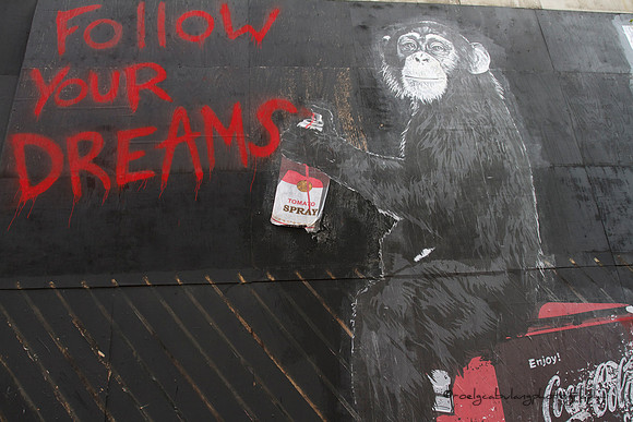 Monkeys Know Better