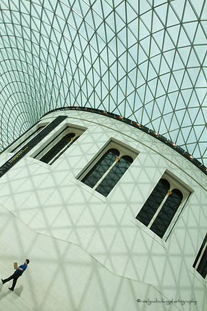Cobweb